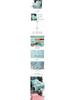 Brushed Duvet Cover Set - 1.5m, Single Piece, Summer Weight, Simple Print, Thin Bedding Sheet