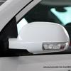 Geely EC718/EC715RV Mirror Turn Signal Assembly Accessories