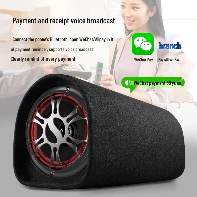 Soaiy D-Series Car Audio Subwoofer Bluetooth Speaker