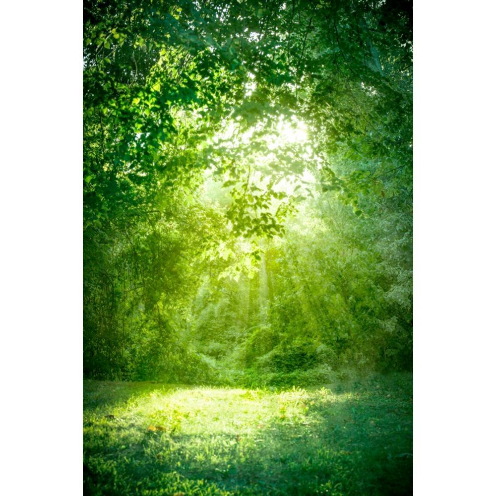 Spring Natural Scenery Forest Photography Backdrop Tropical Jungle Green Forest Tree Adventure Baby Portrait Photo Background
