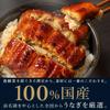 Hamanako Unagi Tanaka Mother's Day Gift Box Grilled Eel 2 Pieces 170–190g Cut Unagi with Mother's Day Card