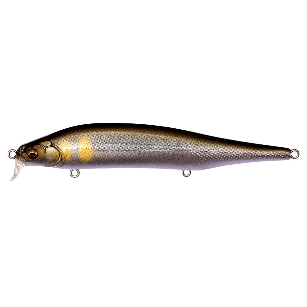 

Megabass ITO SHINER SSR GG Tennessee Shad