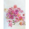 1 Box Of 45 Retro Fresh Floral Decoration PET Stickers For Journaling And Collage Back To School