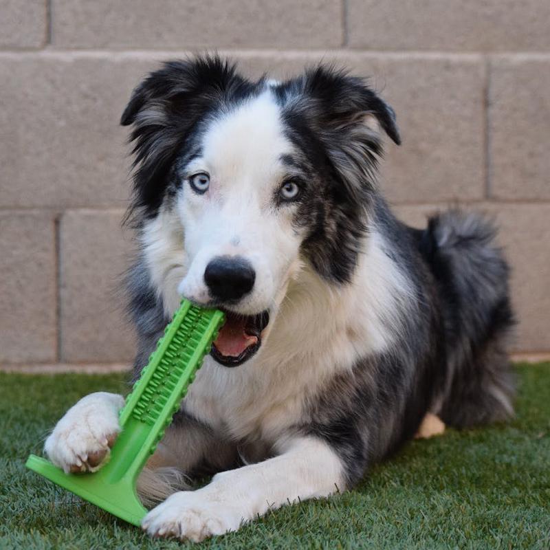 bristly brushing stick