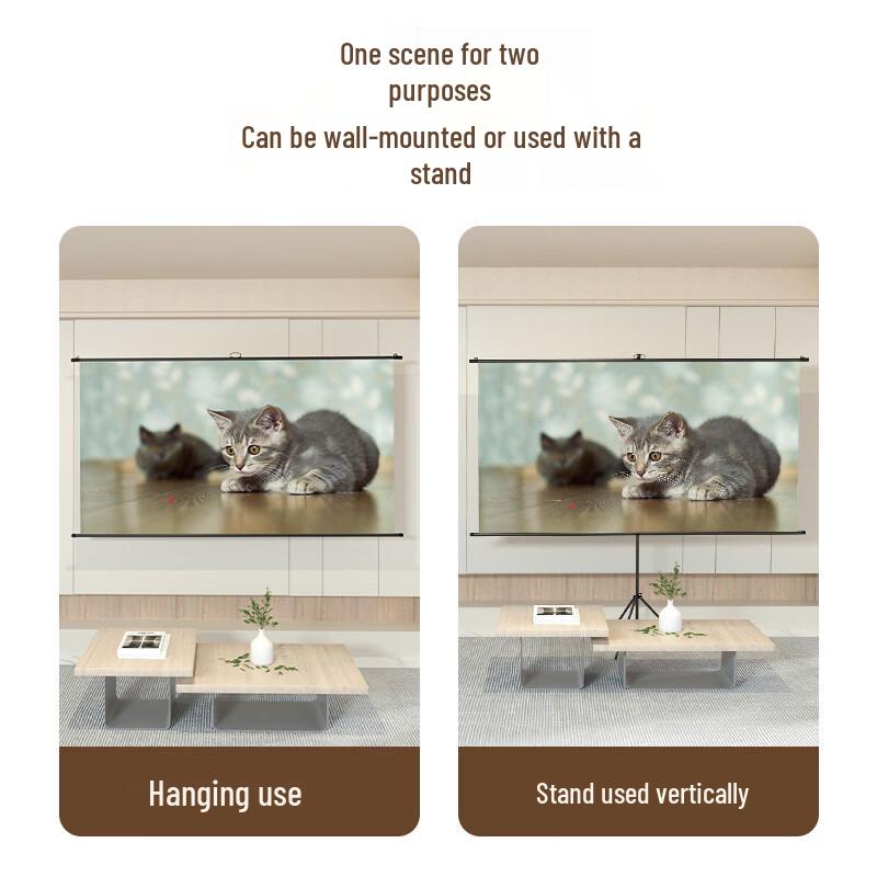 Deli 100-inch Projector Screen