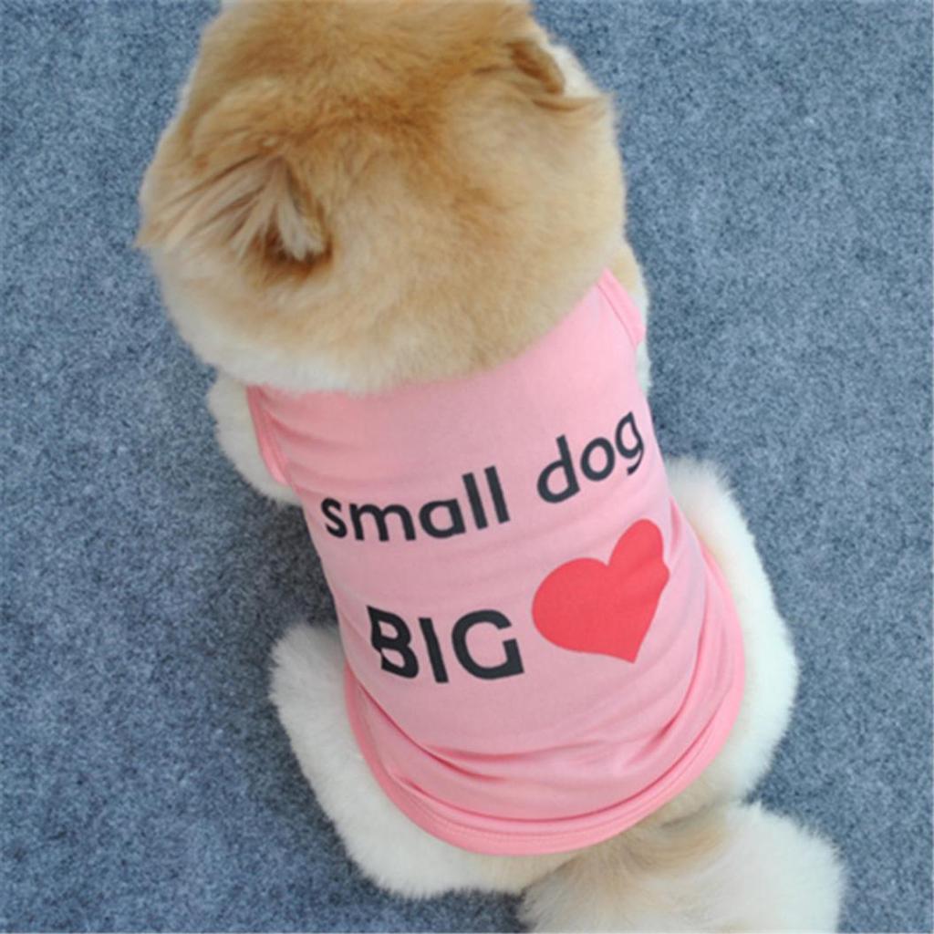 dog cute clothes