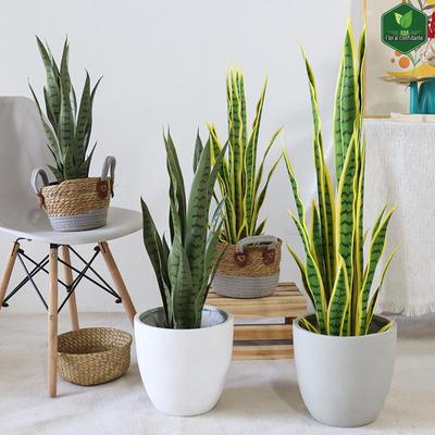 Deko & Wohnaccessoires – Künstliche Blumen & Kränze