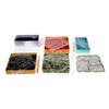 Everdell Big Ol Box of Storage Deluxe Organizer with Inserts Rulebooks Perfect for Managing Everdell and All Expansions Efficie