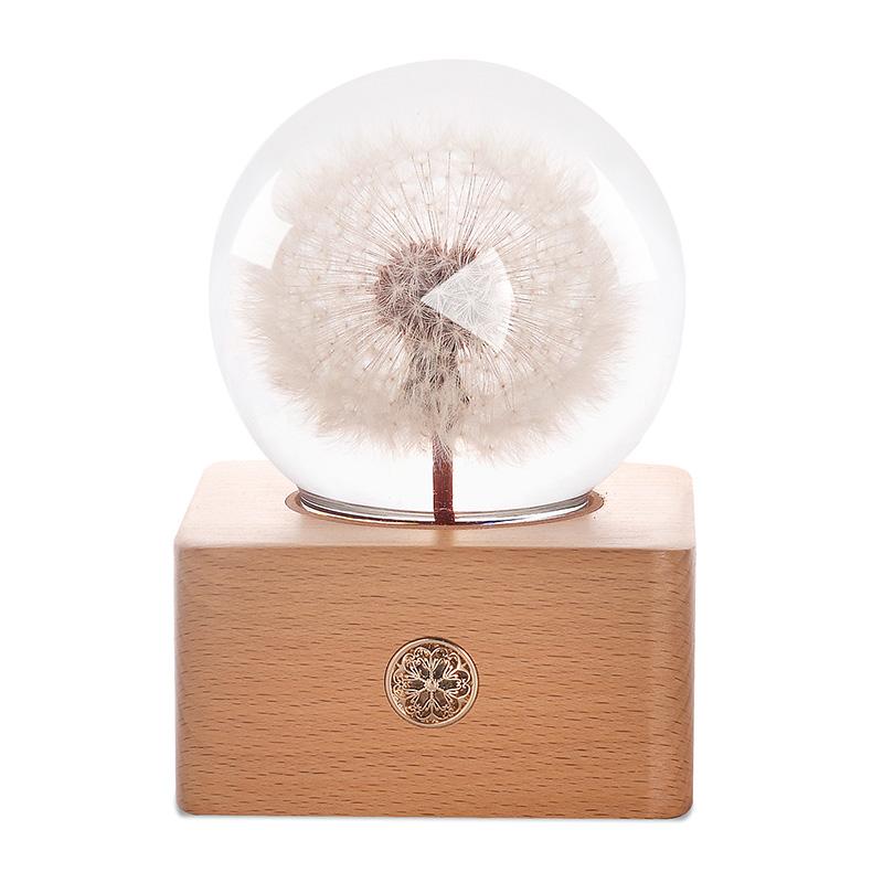 Unique Hot Item 2026 Trends New Years Innovative Product Ideas In Latest Real Flower Night Light Holiday Festival Gift Set