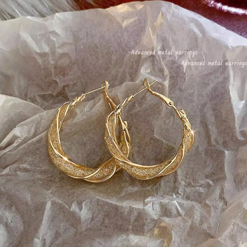 Light Luxury Circle Earrings Metal Super Flash Earrings Niche Cold Wind Earrings Women