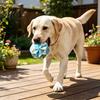 Non-Toxic Dog Balls for Boredom Geometric Ball Toy, Indestructible Chew Multi-faceted Teeth Durable Toys Destructive Chewers Cleaning Interactive