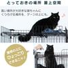 IRIS OHYAMA Roof Cat Cage with Casters and Scratching Easy Black for Multiple Height 178 X Width 93 X Depth 63 Cm Sheet, Assembly, Cats, Pets,