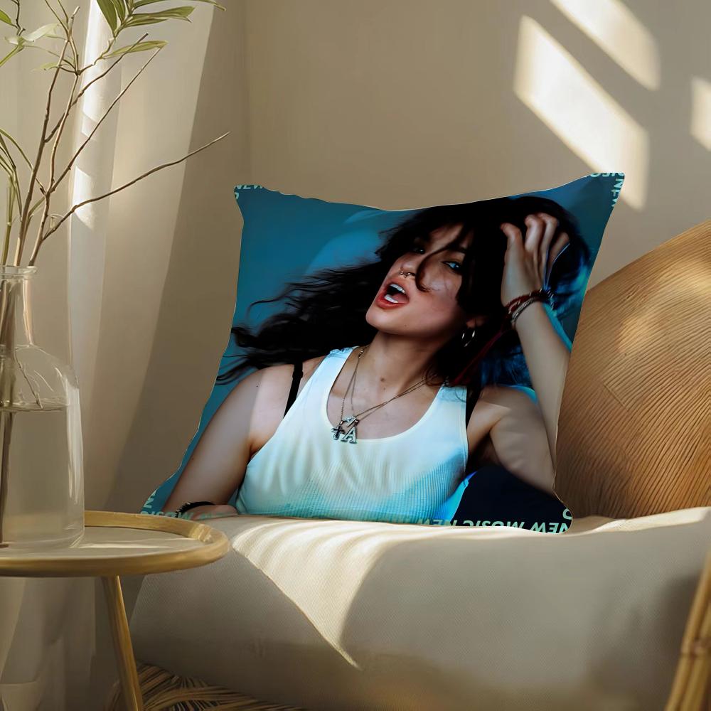 Singer Ari Abdul Pillow Case Silky Elegant Comfort Sofa Bed Invisible Zipper