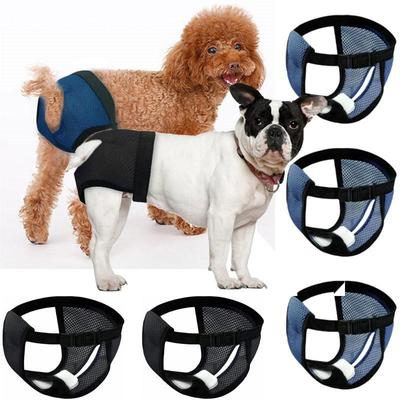 Cani – Prodotti per la cura dei cani