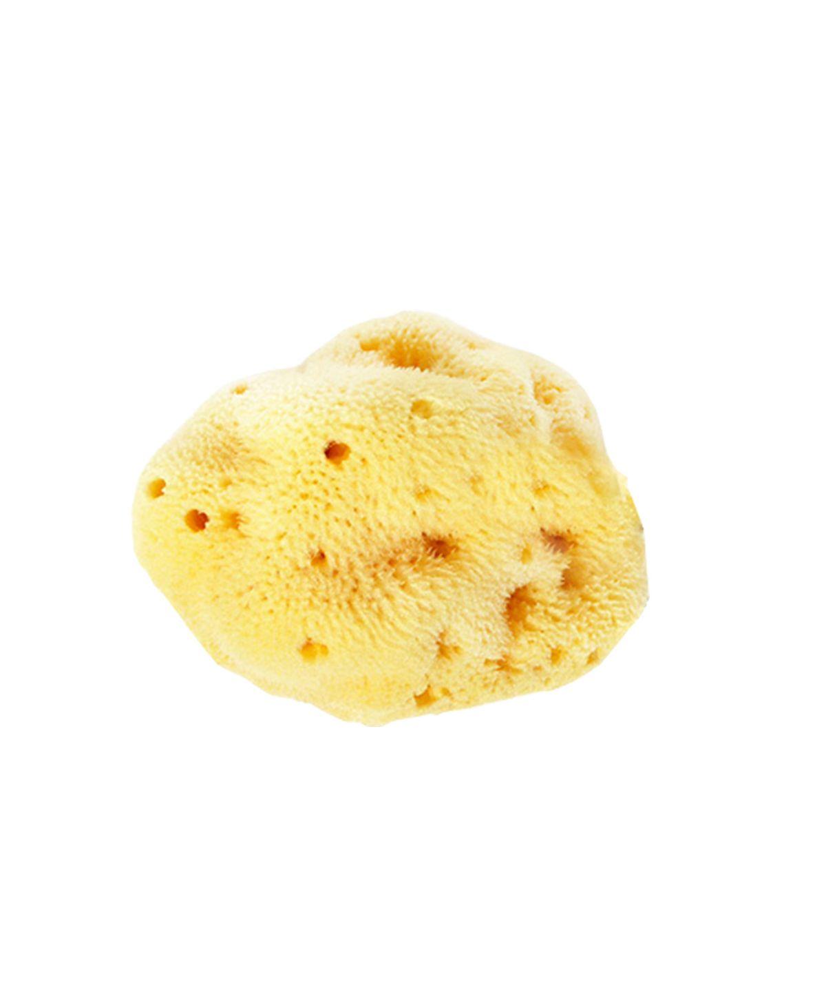 Natural sponge for facial cleansing - Extra Large