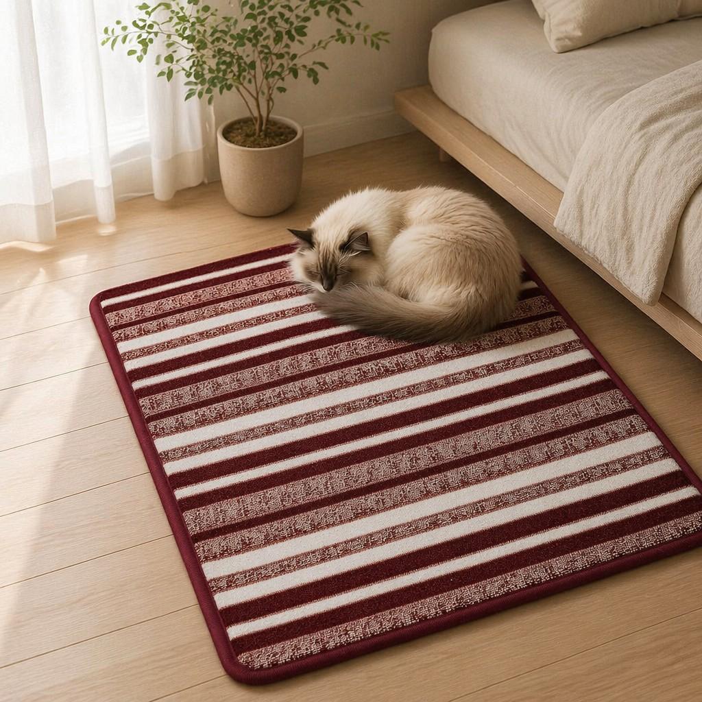 Pet Minimalist Style Small Fresh Entrance Entrance Bathroom Kitchen Floor Mat Floor Mat Non-slip Machine Washable Carpet 2026