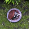 Under Raccoon Figurine The Manhole Cover Creative Resin Ornament For Landscape