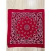 Used 80s USA Made HAV-A-HANK Bandana RN15187 Paisley
