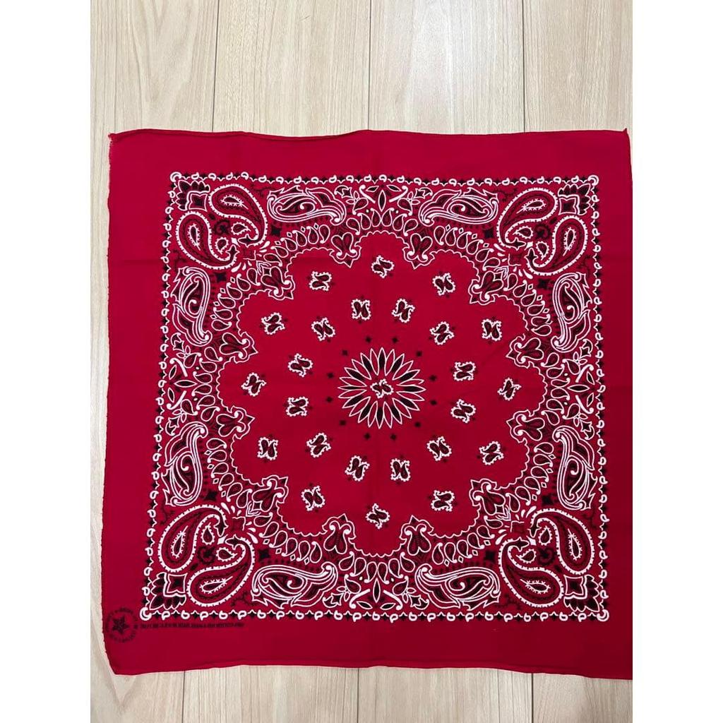 Used 80s USA Made HAV-A-HANK Bandana RN15187 Paisley