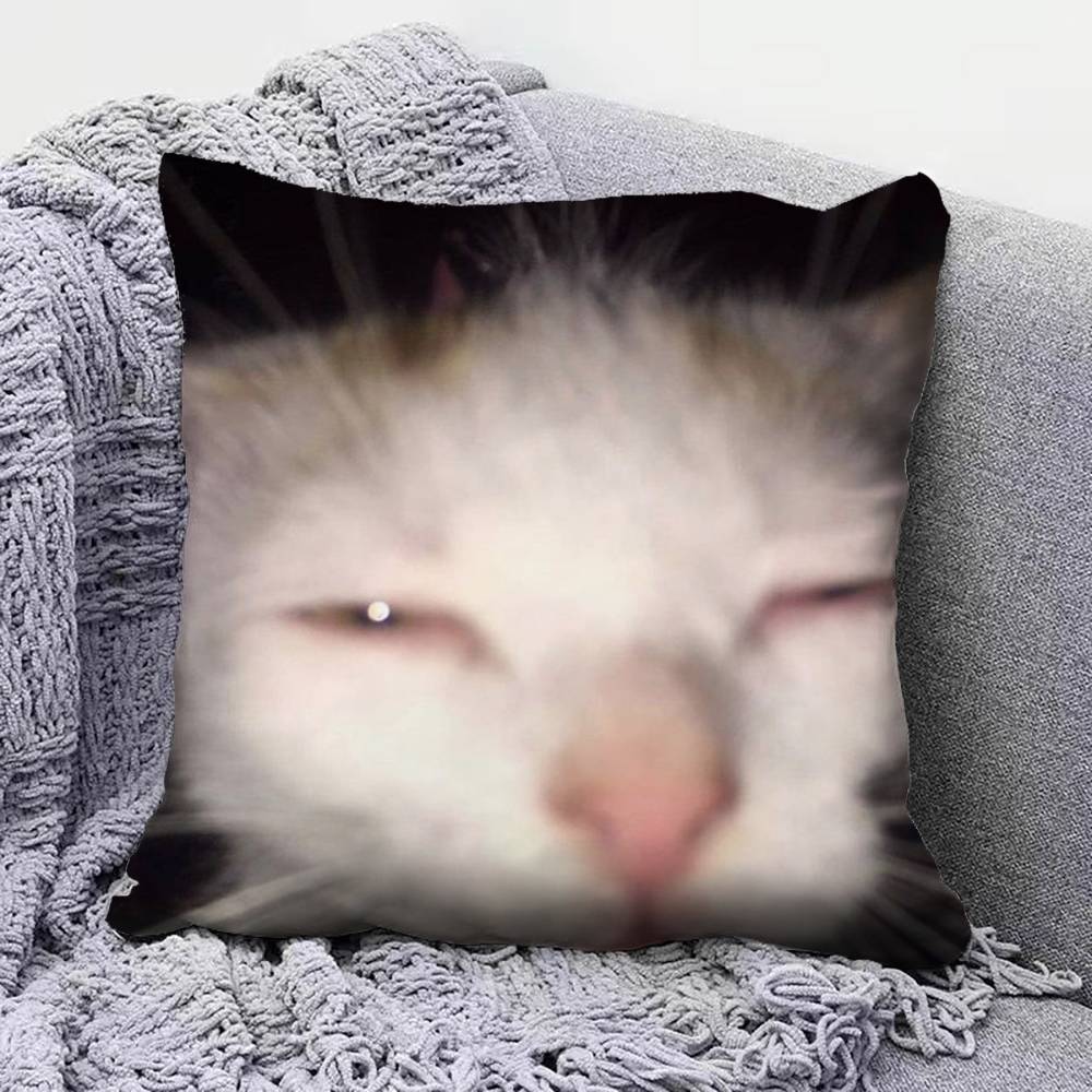 Funny Cat MMeMe Pillow Covers Home Sofa Cushion Covers and Aecorative Custom