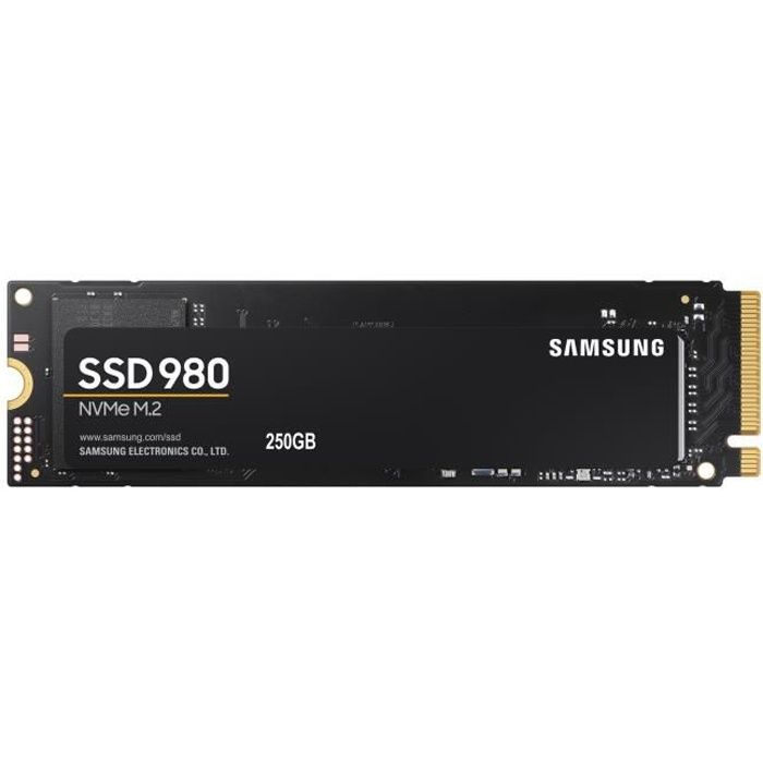 SAMSUNG SSD Interne 980 250 Go MZ-V8V250BW