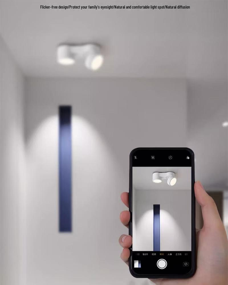Adjustable LED Double-Head Smart Ceiling Spotlight for Living Room and Aisle