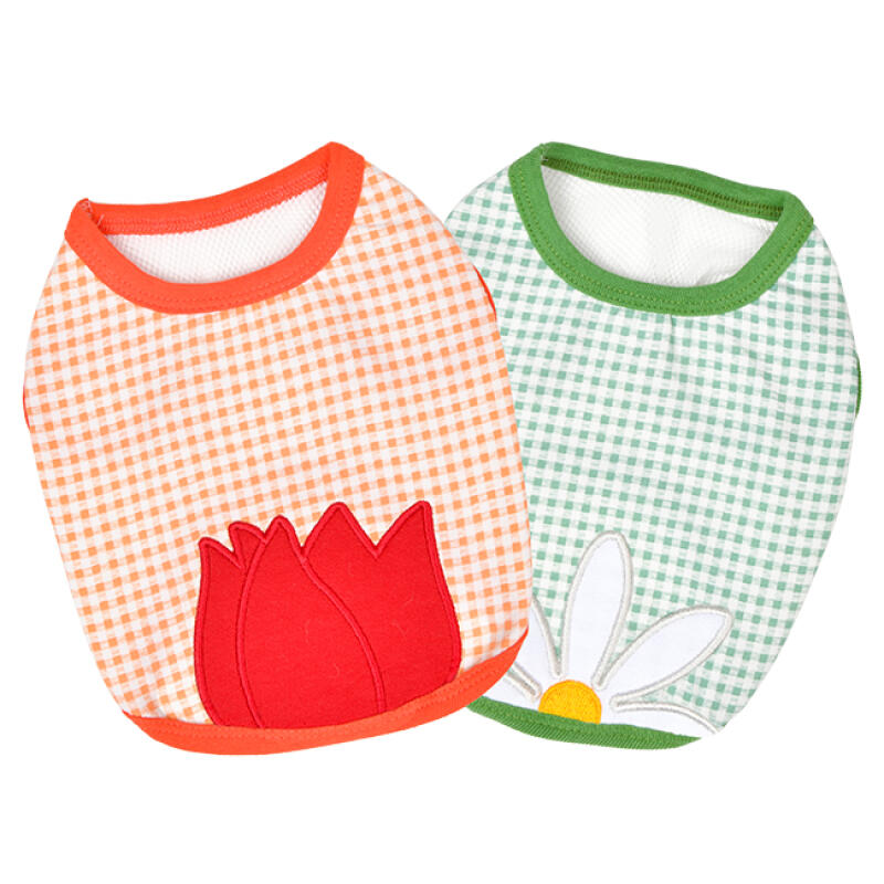 Spring Crop T-Shirt (OAWA-TS6391) orange