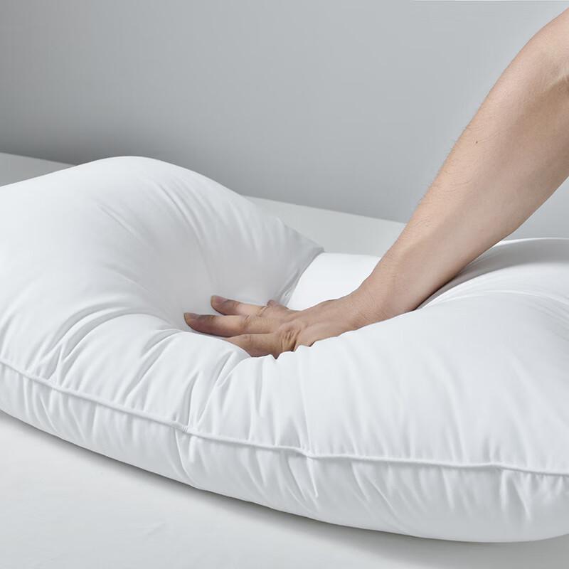Star-Rated Hotel Feather Silk Cotton Pillow Core