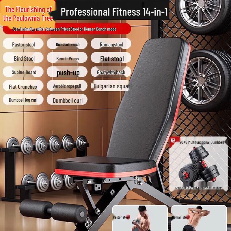 Multi-functional Foldable Dumbbell Bench