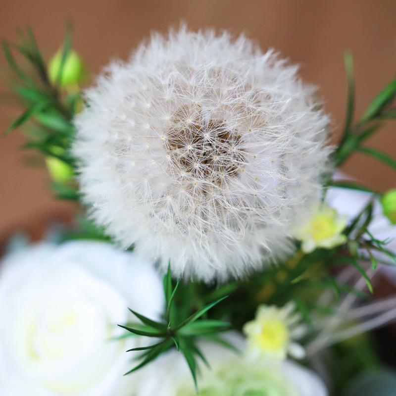Teachers' Day Gift Eternal Flower Dandelion Glass Cover Rose Box Simulation Gypsy Star Bouquet Preserve Flowers