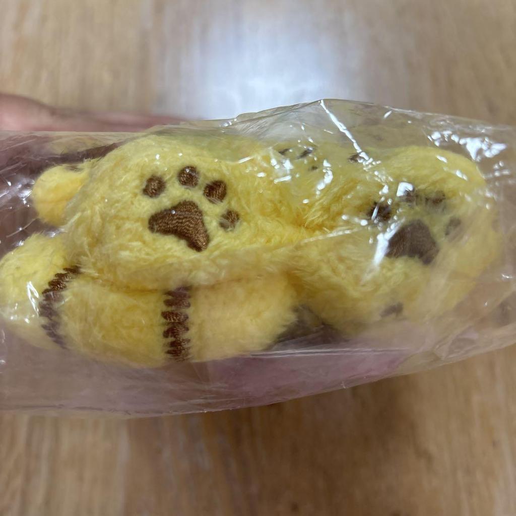 [USED] BT21 Tatton Plush Toy S Cat Bengal CHIMMY