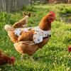 Adjustable Hen Apron Waterproof Chicken Harness Vest Practical Chicken Dress  Pet Clothes