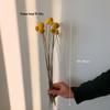 High-End Wabi-Sabi Dried Flower Decor: Natural Reeds & Wheat for Living Room or Homestay.