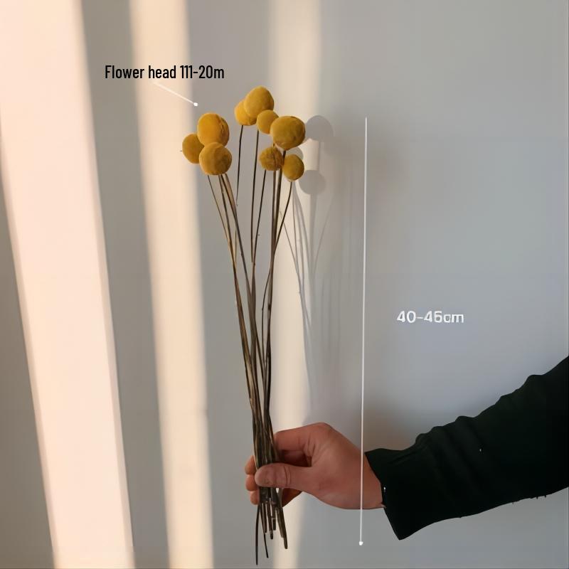 High-End Wabi-Sabi Dried Flower Decor: Natural Reeds & Wheat for Living Room or Homestay.