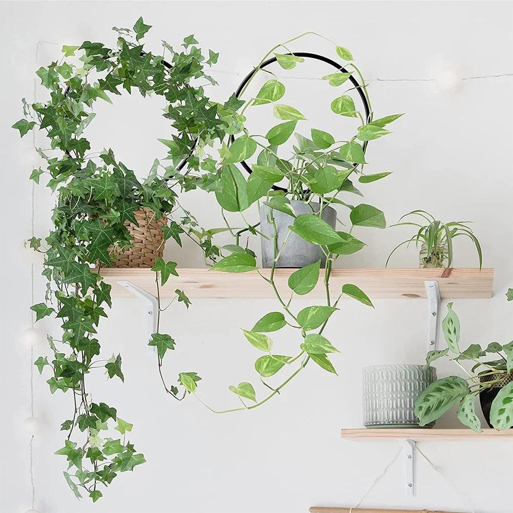 3PC Wrought Iron Climbing Frame for Outdoor Vertical Garden Support with Adjustable Brackets for Climbing Plants