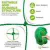 Botanical Garden Climbing Net for Grape, Cucumber, and Bonsai - Reinforced Nylon Trellis for Morning Glory
