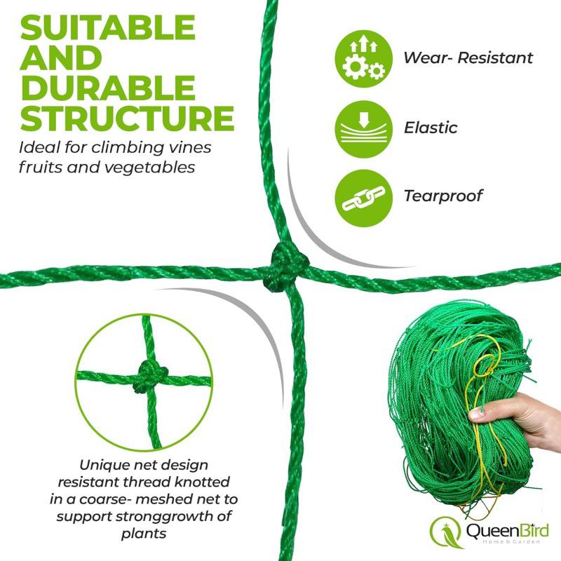 Botanical Garden Climbing Net for Grape, Cucumber, and Bonsai - Reinforced Nylon Trellis for Morning Glory