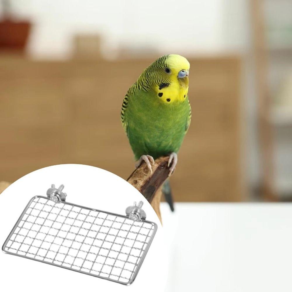 Rust-Resistant Stainless Steel Bird Perch Platform Moisture Proof Bird Rest Platform Glass Surface