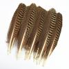 10Pcs Real Natural Eagle Feathers for Crafts Decoration Turkey Pheasant Carnival Hats Accessories Feather Decor Plumes Headpiece