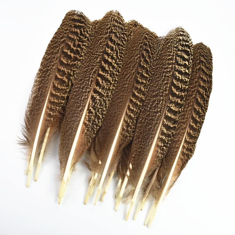 10Pcs Real Natural Eagle Feathers for Crafts Decoration Turkey Pheasant Carnival Hats Accessories Feather Decor Plumes Headpiece
