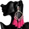 Women's Earring Exaggerated Flowers with Diamonds Tassel Acrylic Earrings Bohemian Temperament Female Earrings