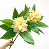 XIYUAN 35.5 Inch Artificial Flowers Artificial Frangipani Flower 2 Stems Lifelike Real Touch Artificial Plumeria Flowers for Home Party Wedding