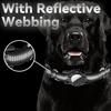 Collare per animali domestici Collare per cani GPS riflettente impermeabile Collare protettivo regolabile anti-smarrimento per cani di piccola taglia e media taglia per Airtag