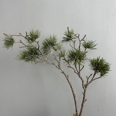 Plastic Pine Trees Plants Green Fake Plants Artificial Pine Branch  Living Room Decor