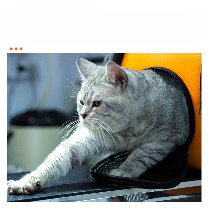 Folding Portable Space Capsule Pet Bag Cat Bag New Oxford Cloth Crossbody Portable Breathable and Comfortable Cat Backpack