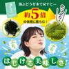 AWOND Sea Grapes 20g×2 Servings Edible Seaweed Fresh Long Shelf Life Keep at Room Temperature