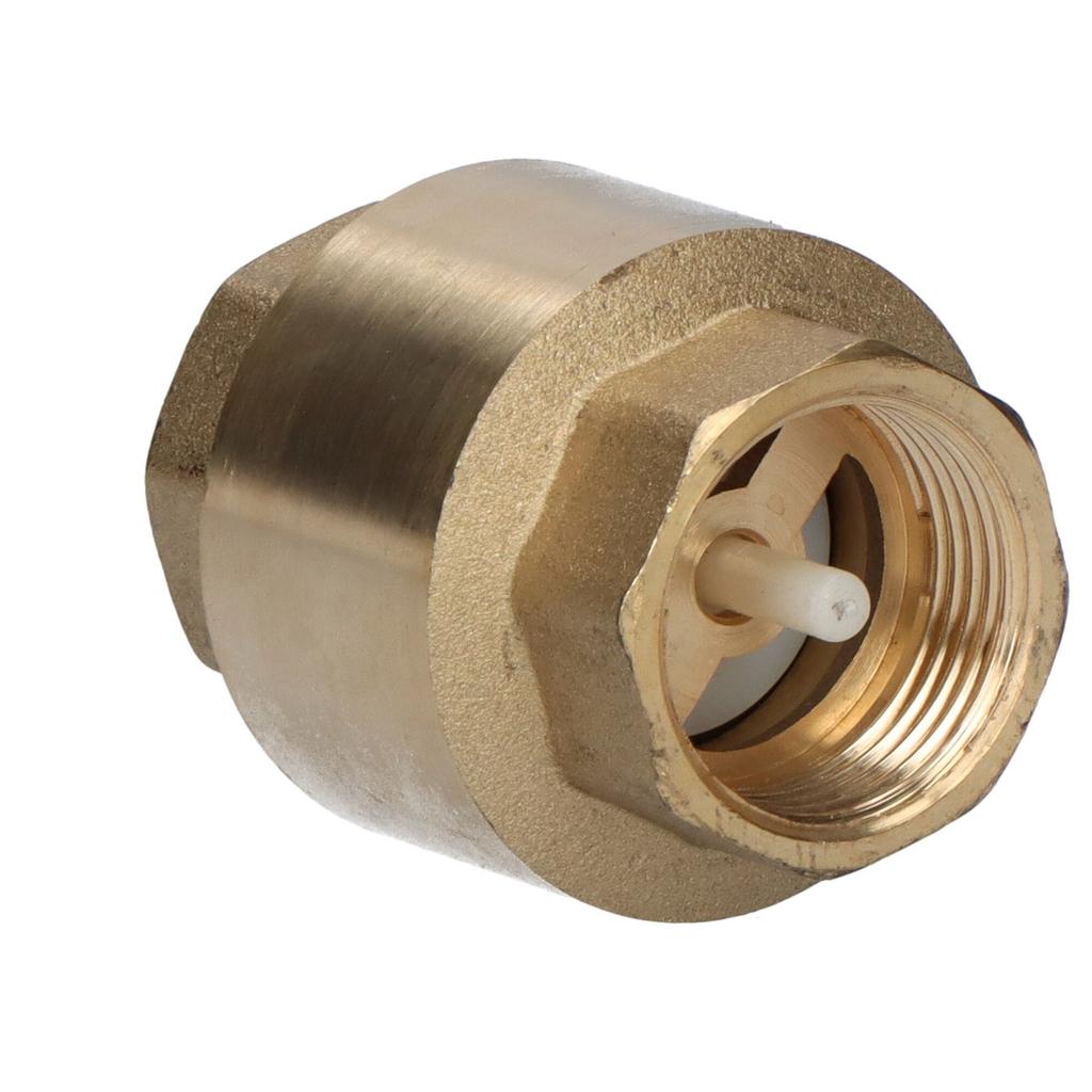 3/4 inch check valve