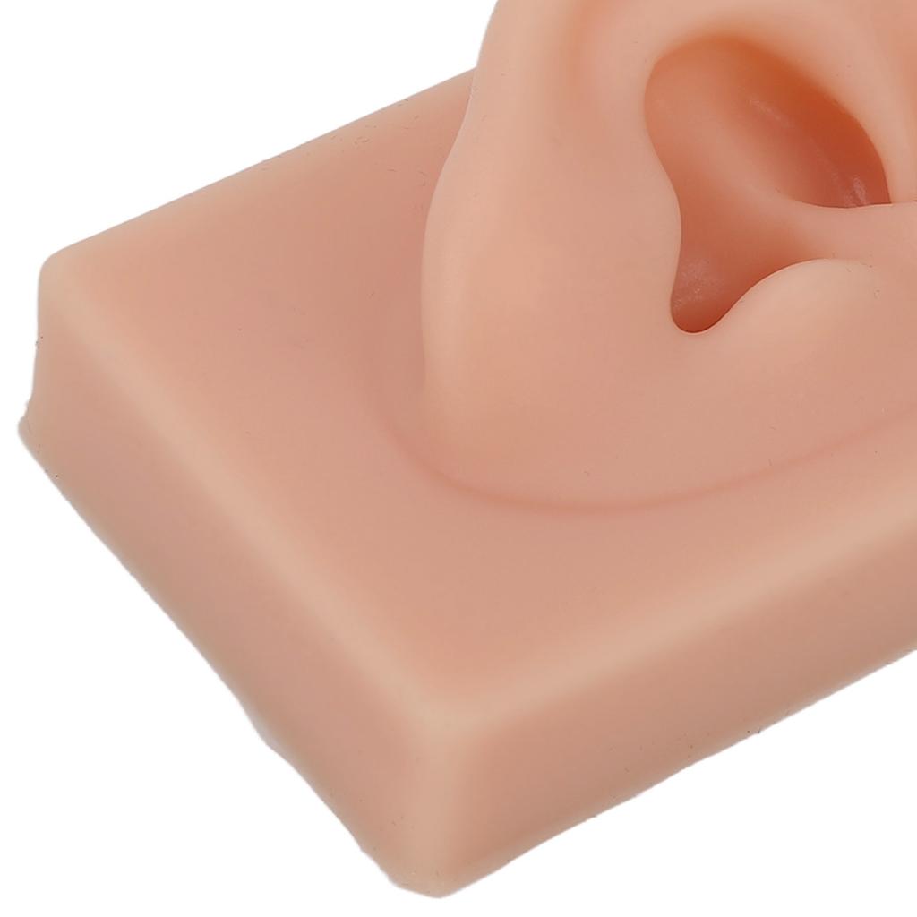 Silicone Ear Model Soft Flexible Right Ear Reusable Human Ear Model for Ear Piercing Training And Earrings Display