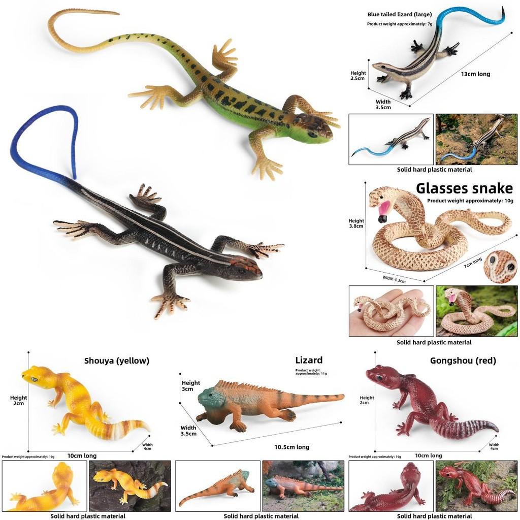 Lizard And Snake Toys Wildlife Figures Plastic Models For Kids Play Education