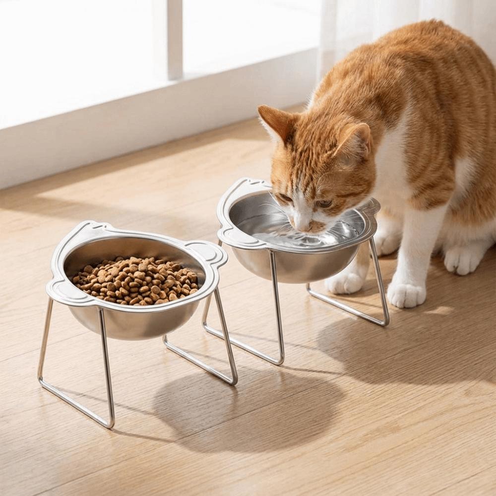 Stainless Steel Elevated Pet Bowl 15 Degree Inclined Pet Feeder Container  Wet Dry Food